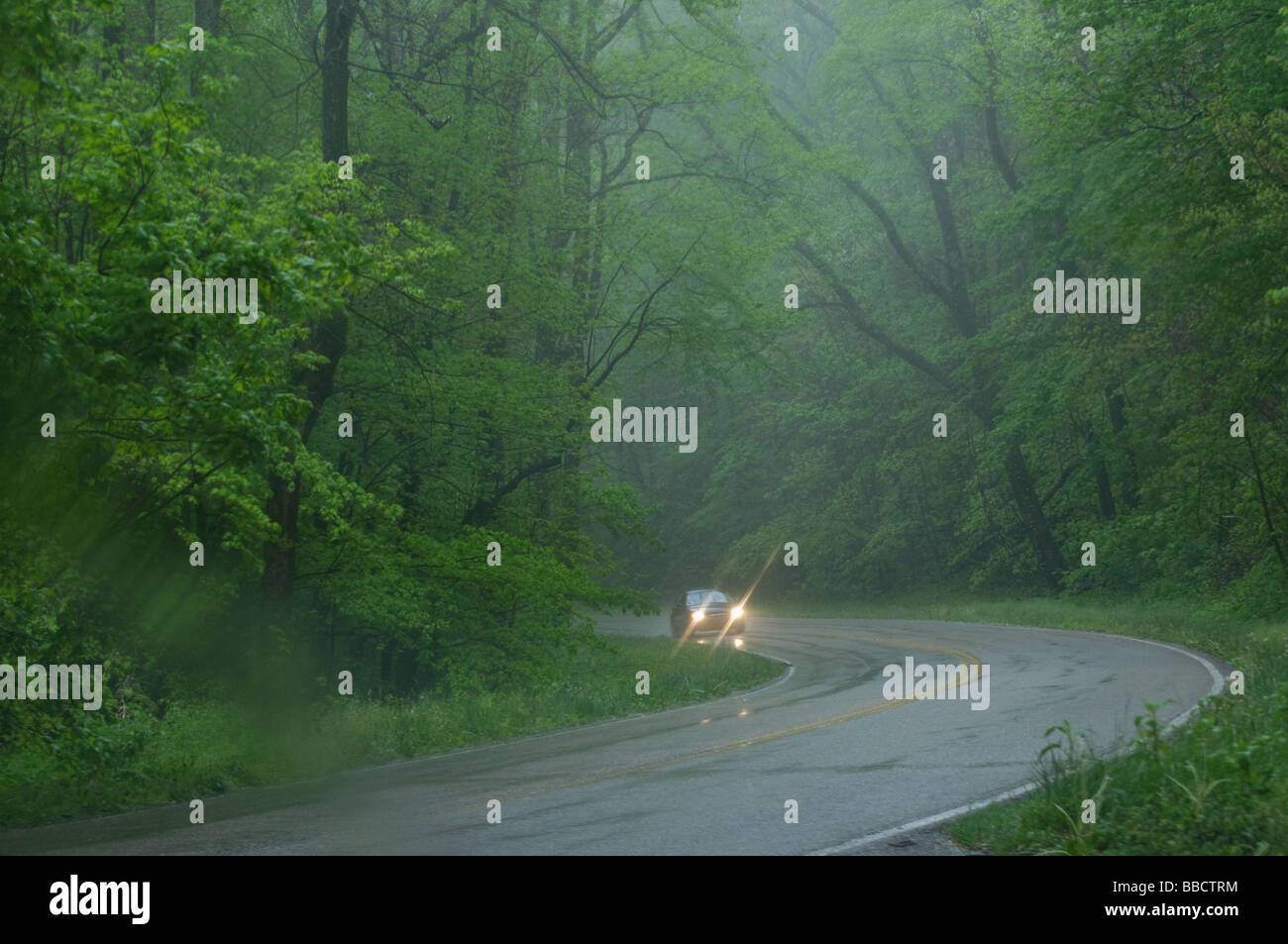 Auto mit Scheinwerfern auf der Fahrt durch den Regen Stockfoto