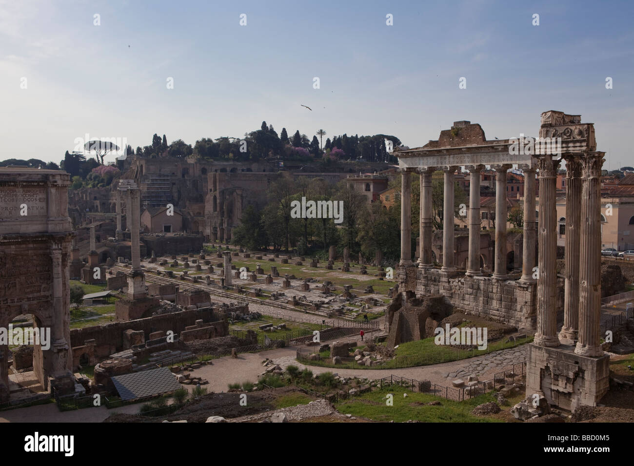 Forum und Palatin, Rom, Latium, Italien, Europa Stockfoto