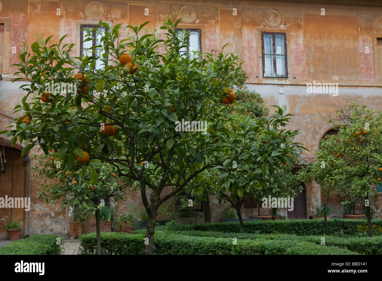 Orangen wachsen in einem Innenhof einer Villa, Rom, Italien, Europa, Stockfoto