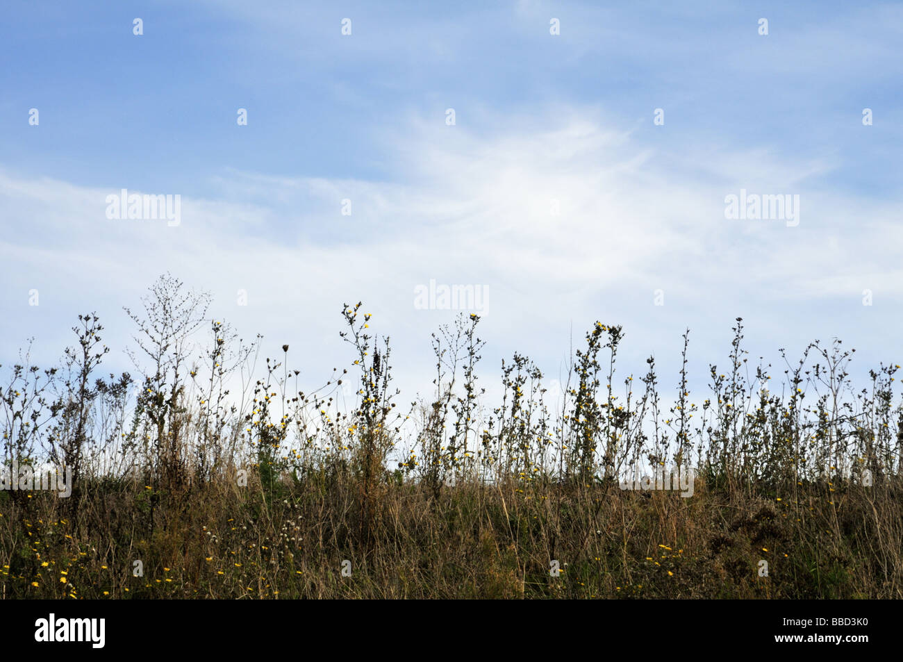 Französische Landschaft Stockfoto