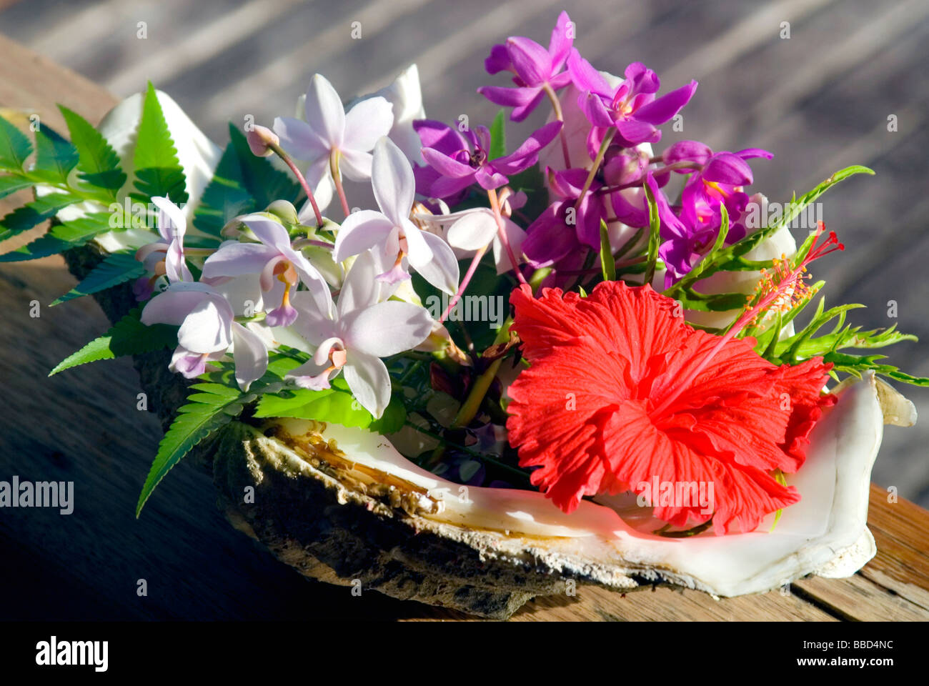 Blumen-Arrangement in der Matikuri Lodge, Marovo Lagune, Salomonen Stockfoto