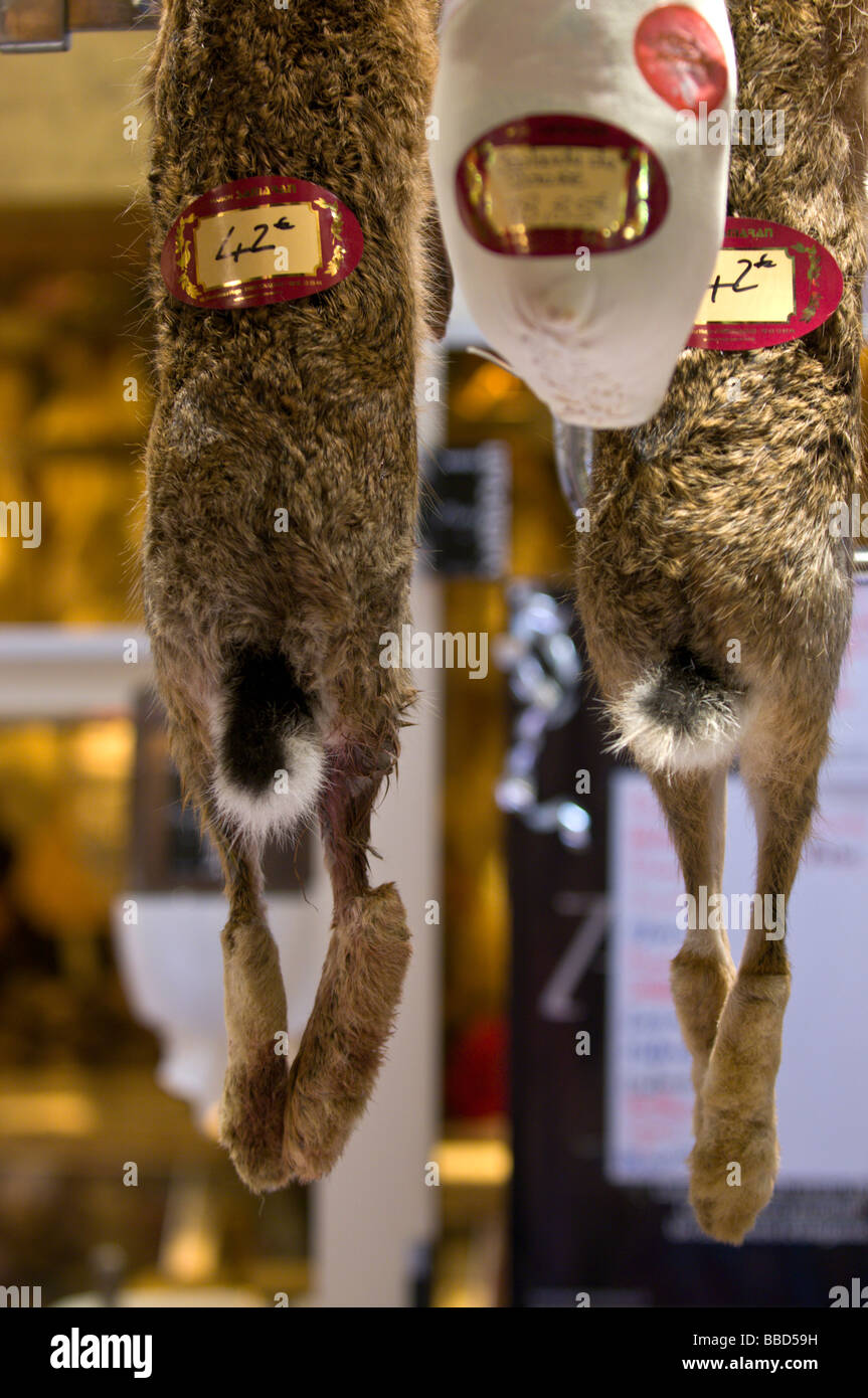 Kaninchen zum Verkauf an einen französischen Markt Stockfoto