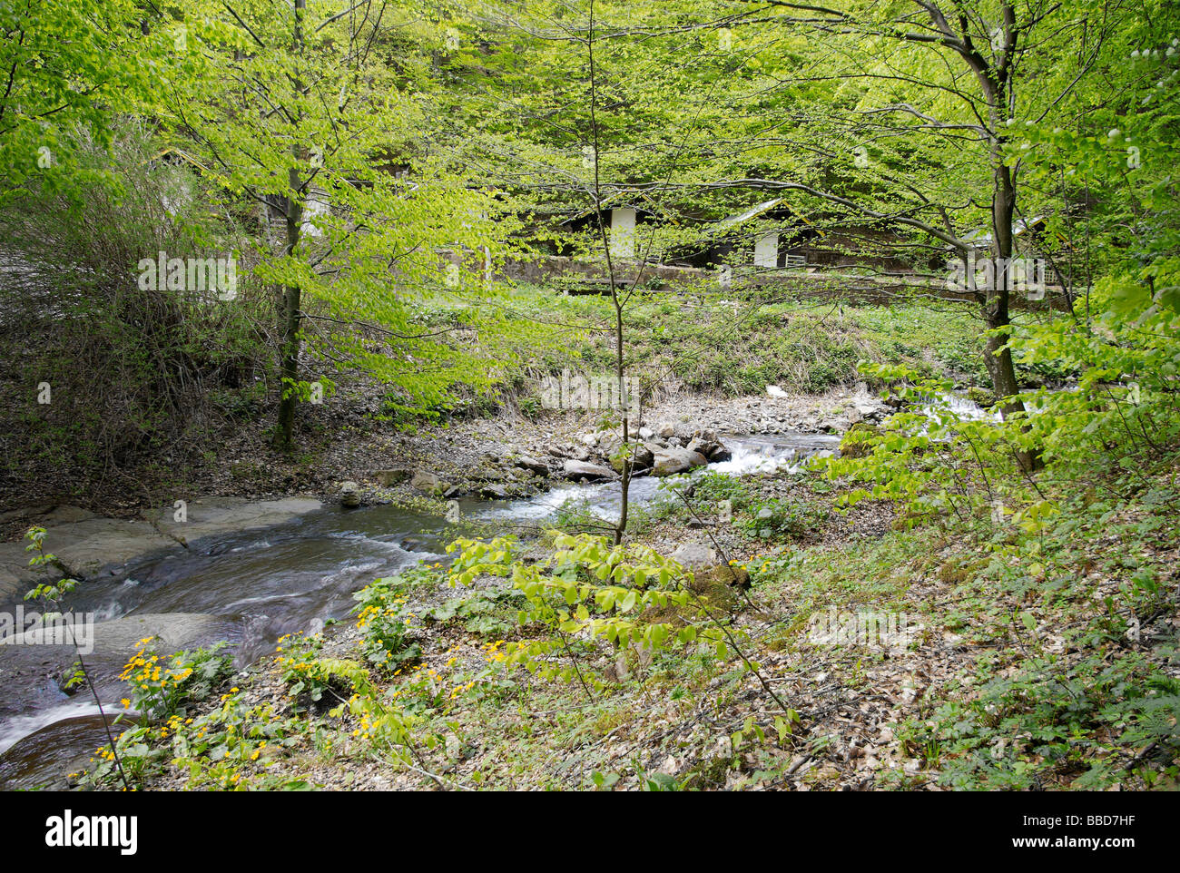 Urlaub-Hütten und rauschenden Bach, zentralen Balkan Nationalpark Stockfoto