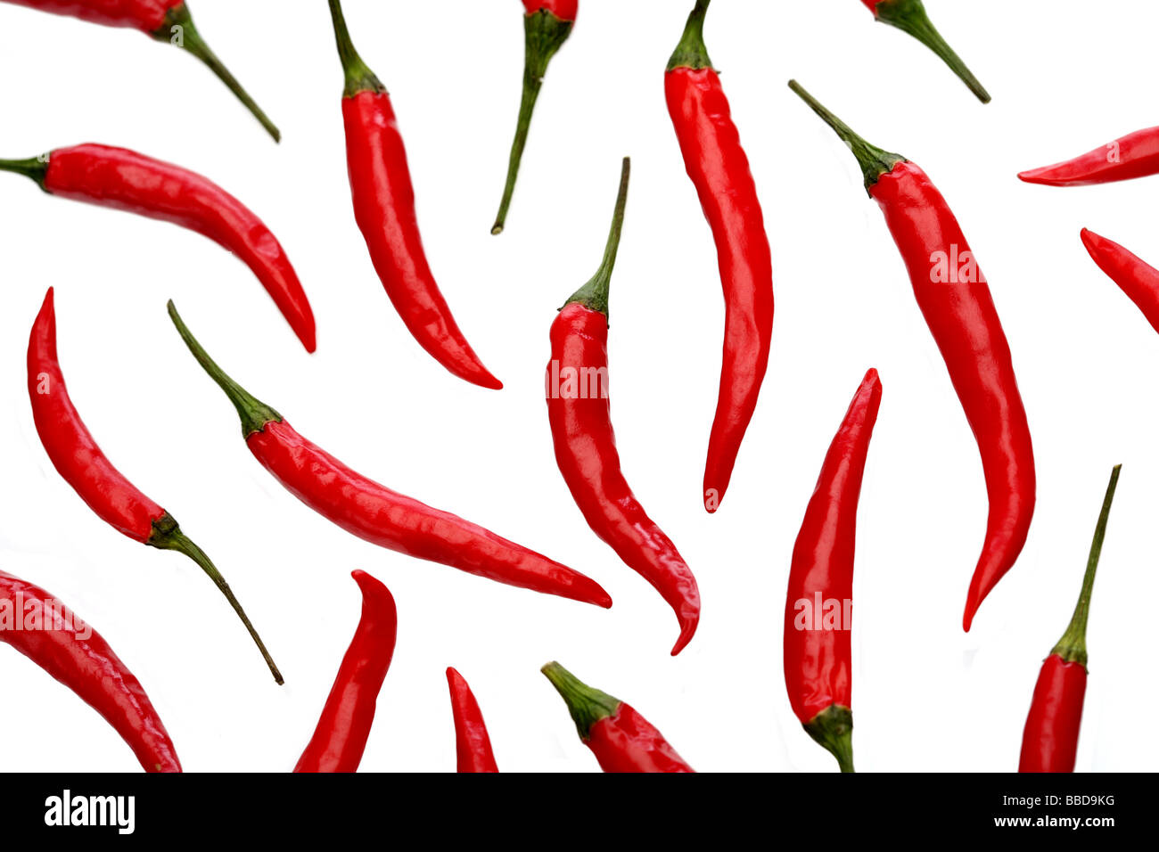 Peperoni rot und heiß auf weißem Hintergrund Stockfoto