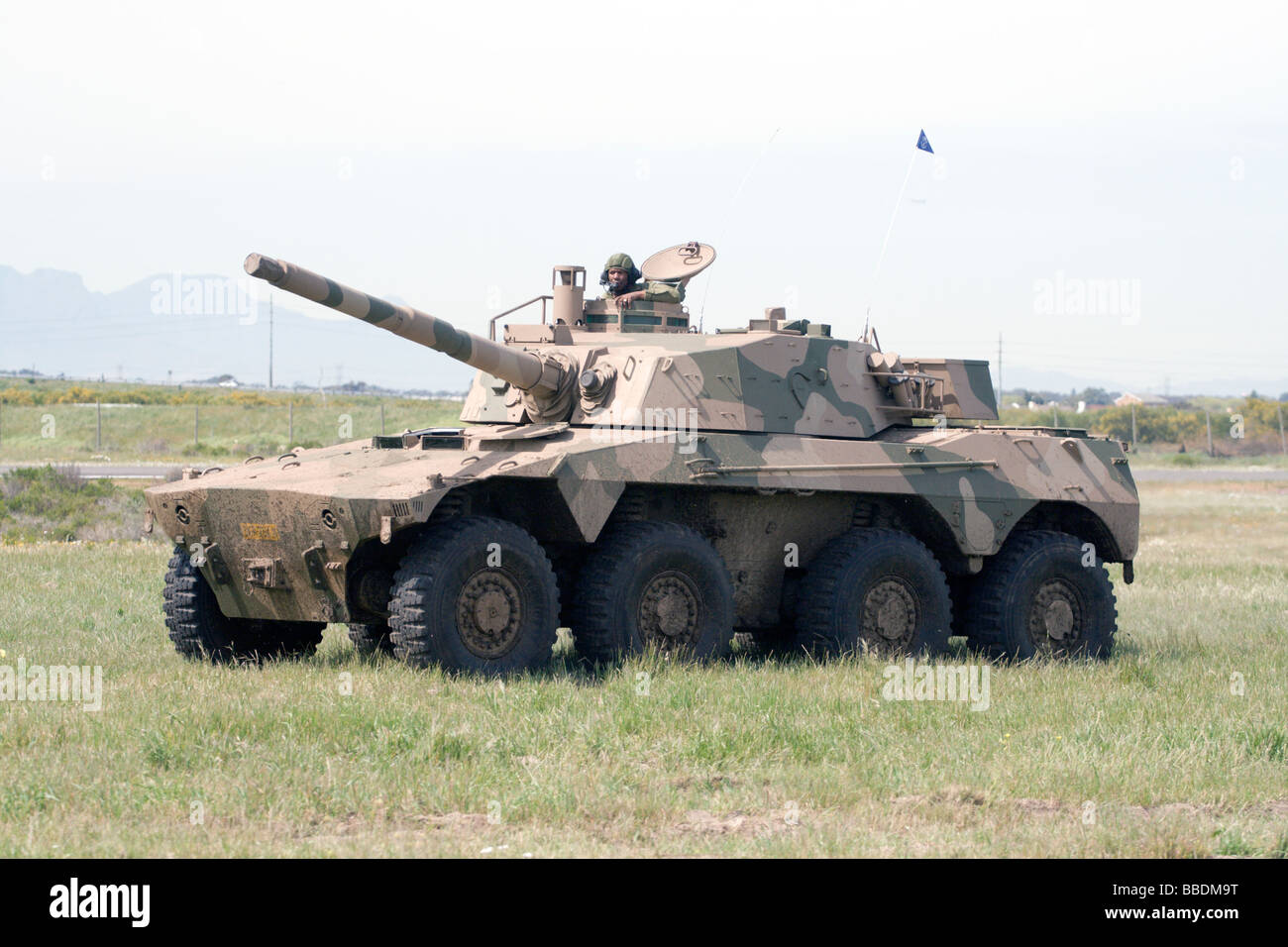 Ein Rooikat Armoured Fighting Vehicle für die südafrikanischen South African National Defence Force. Stockfoto