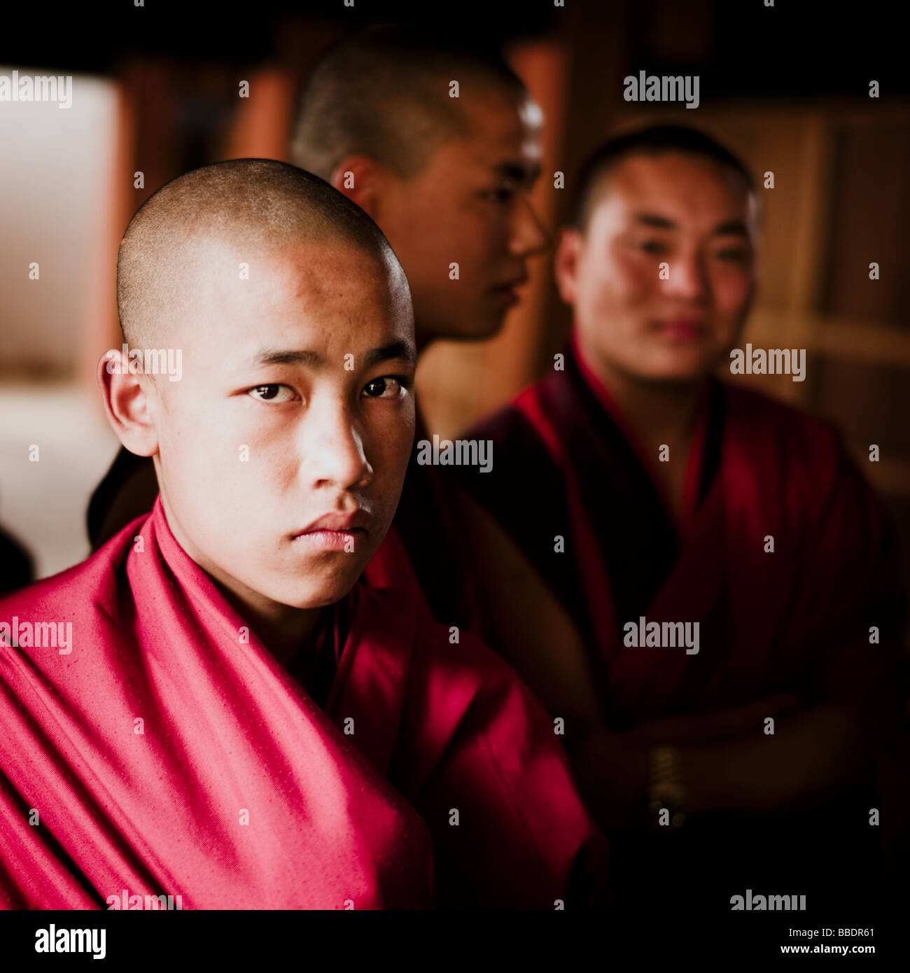 Drei junge bhutanische Mönche - punakha Dzong, Bhutan Stockfoto