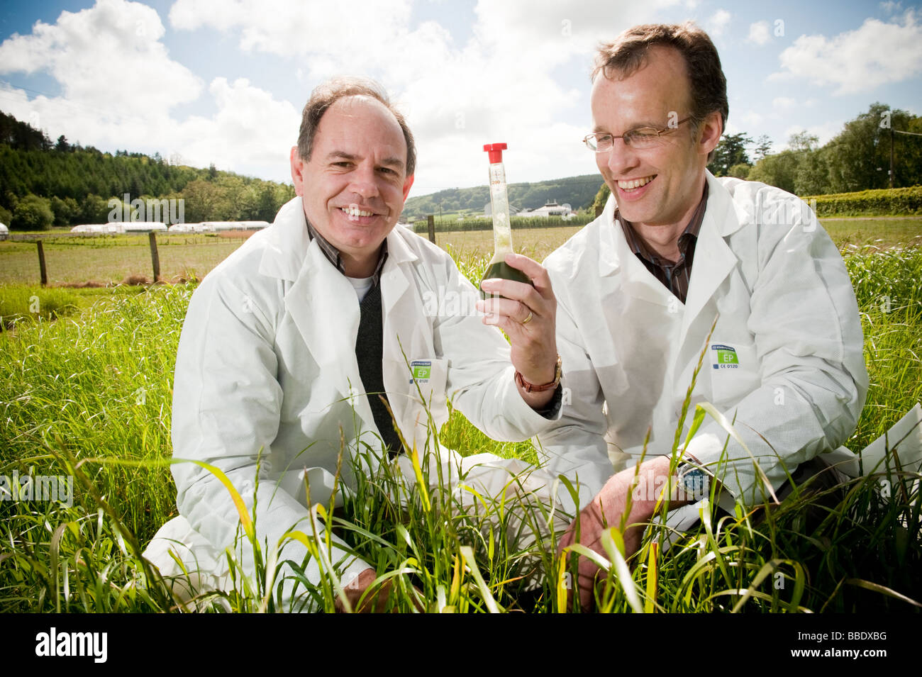 Mike Morris und Joe Gallagher von Lloret mit ihrem Projekt um Bio-Ethanol-Kraftstoff aus Weidelgras, Aberystwyth University, UK Stockfoto