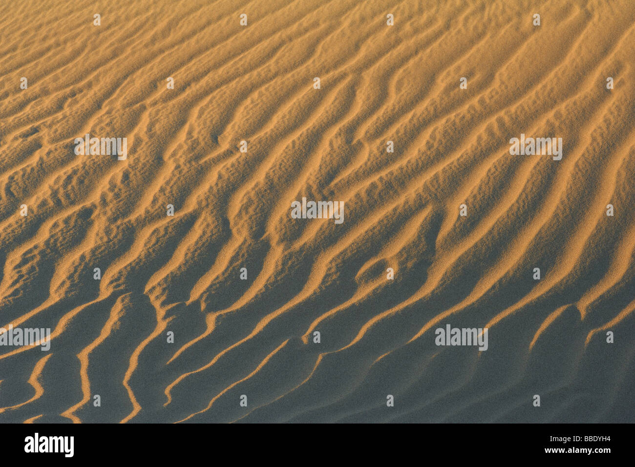 Nahaufnahme der Wellen im Sand Dune, Maspalomas, Playa del Inglés, Gran Canaria, Spanien Stockfoto