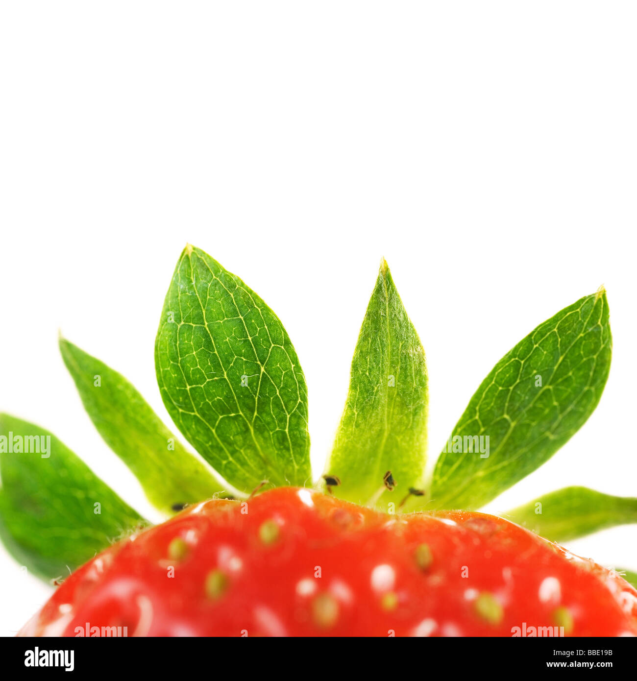 Erdbeer-topping Stockfoto