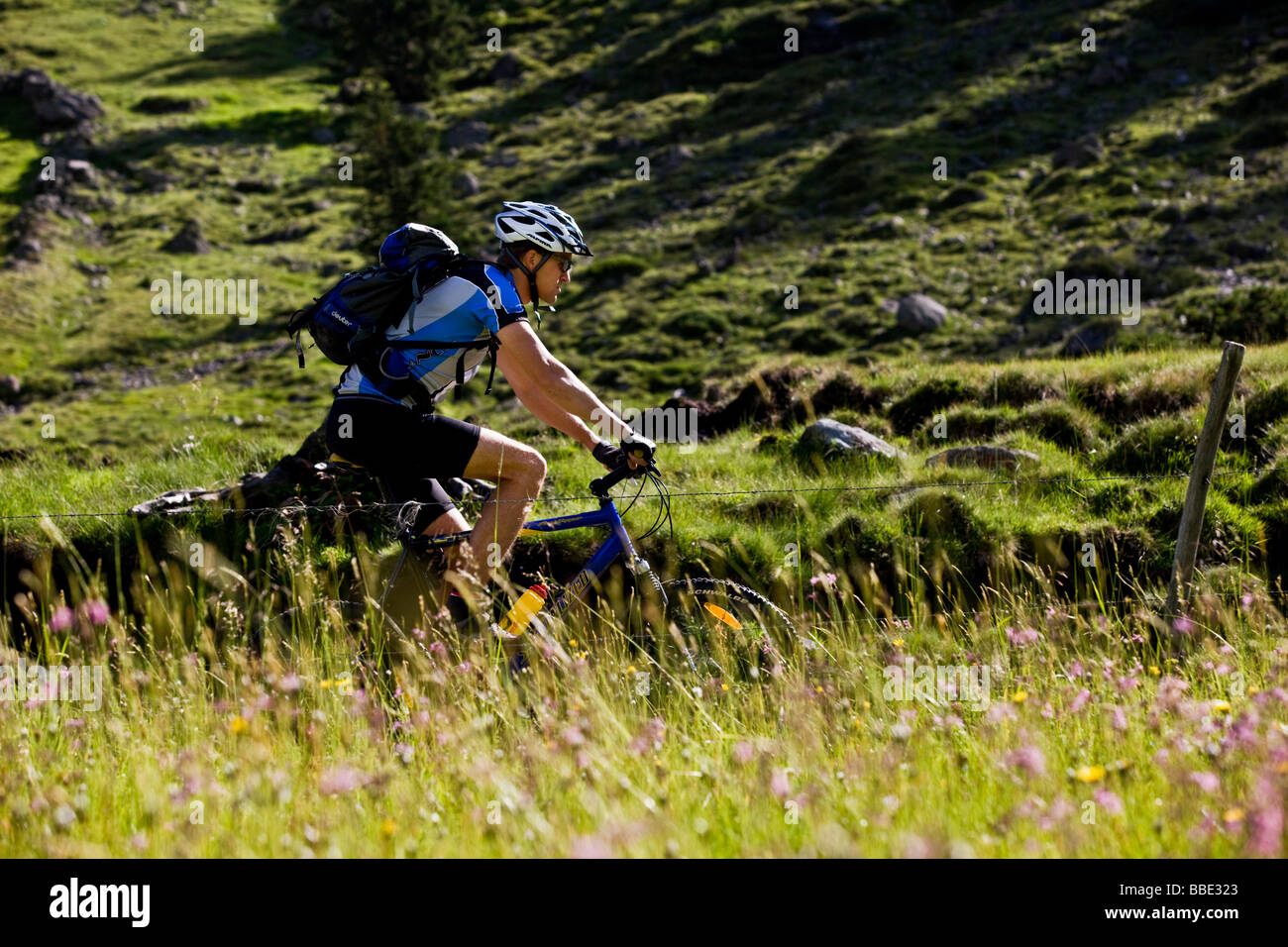 Mountain Biker, Alpbachtal, Nord-Tirol, Austria, Europe Stockfoto