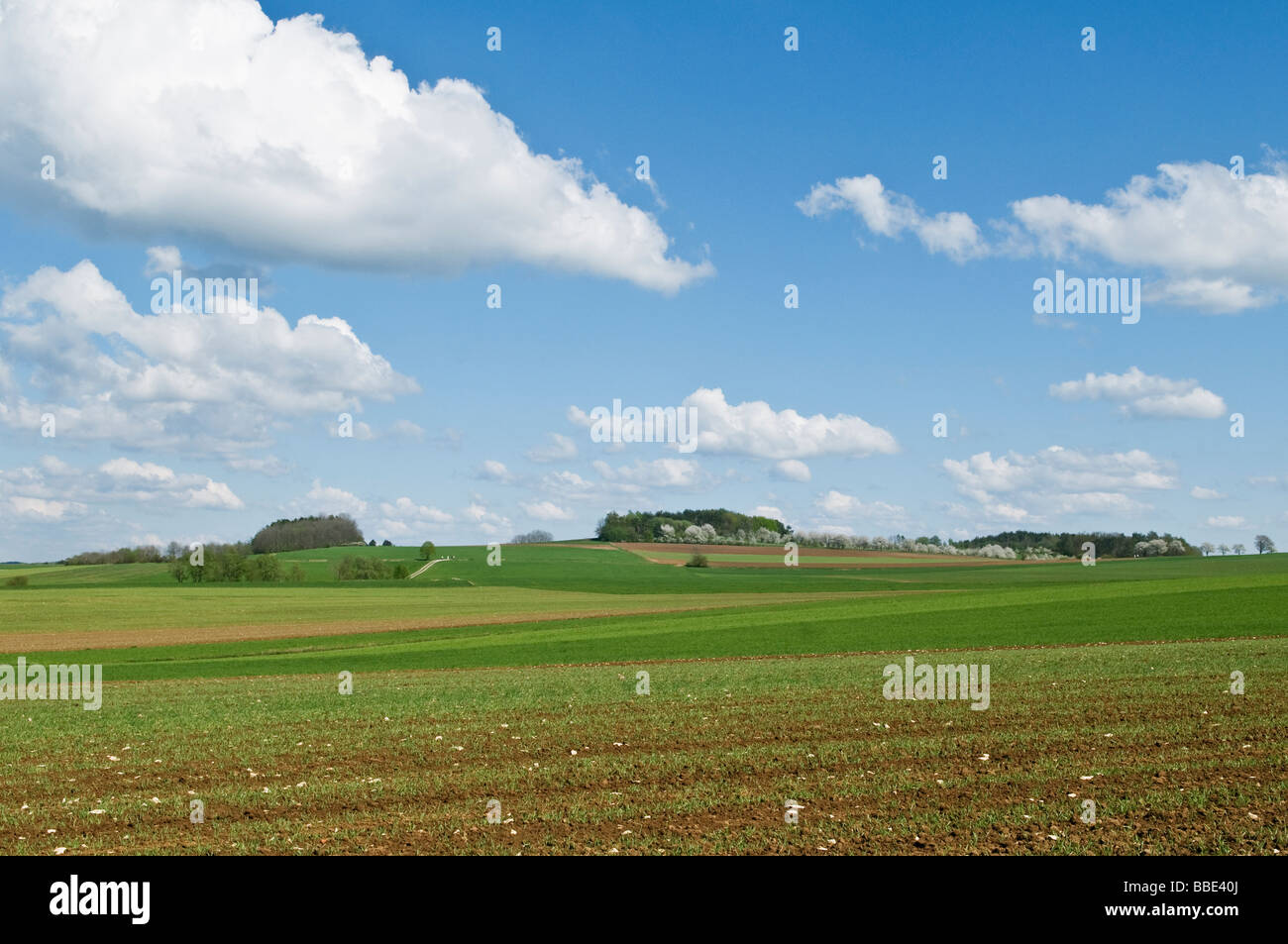 Frühling-Bauernhof-Felder, Franken, Bayern, Deutschland Stockfoto