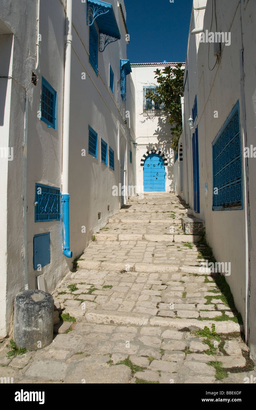 Traditionelle Häuser in Byrsa-Hügel, Karthago, Tunesien, Afrika Stockfoto