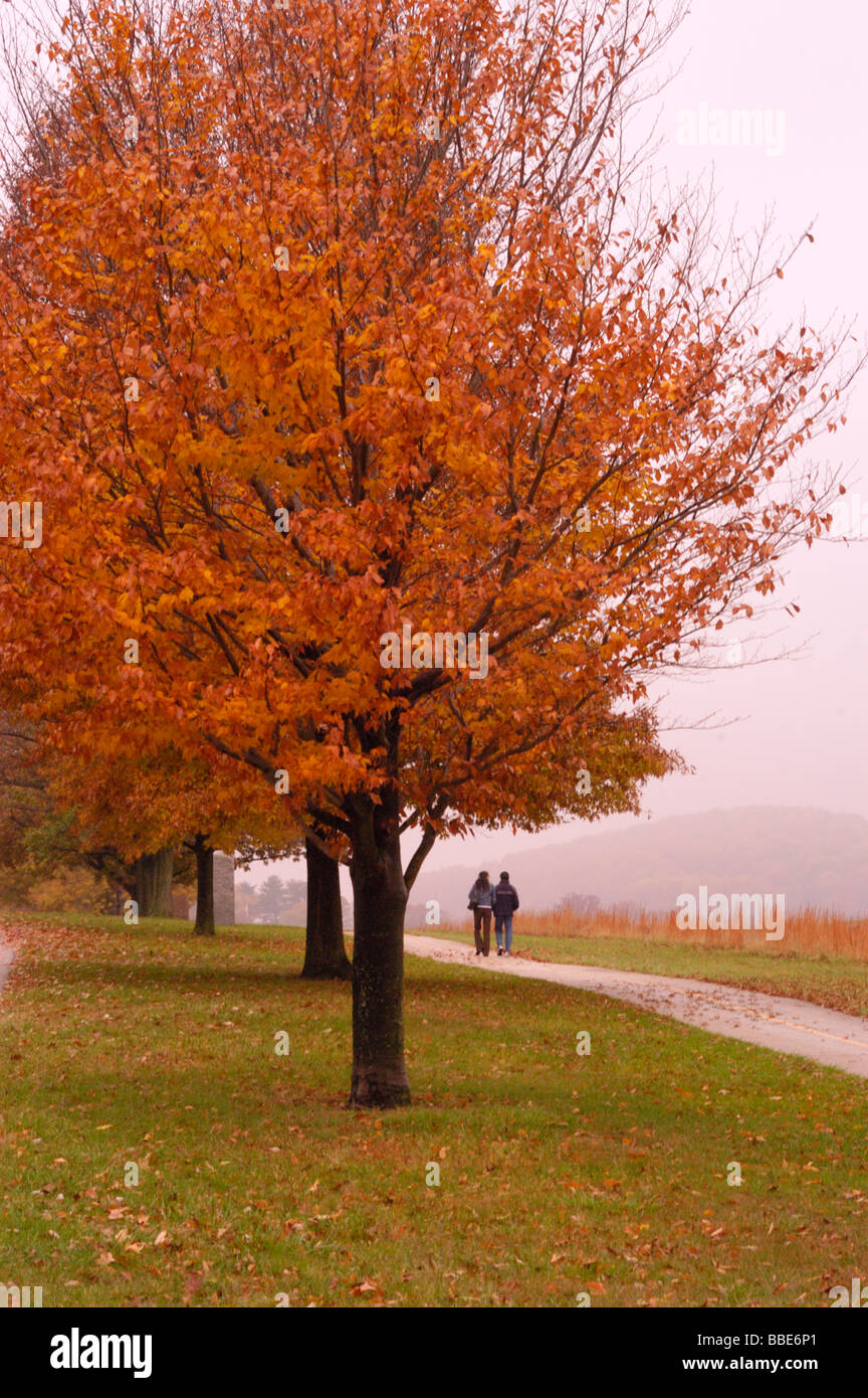 Wanderer genießen Sie einen Spaziergang auf einem von Bäumen gesäumten Weg in Valley Forge National Historical Park Stockfoto