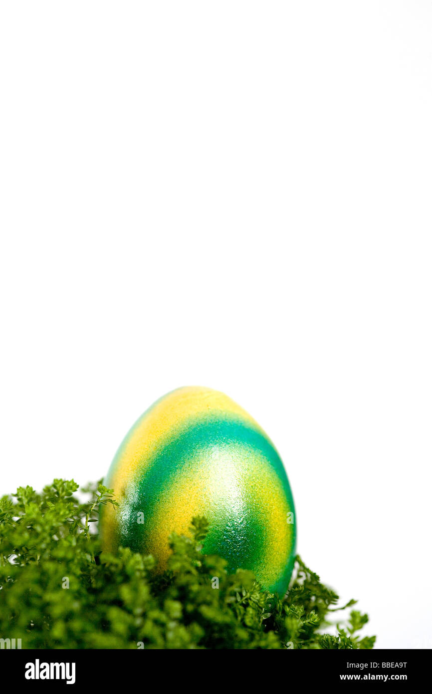 Gelb-grün gefärbten Ostereier in einem Nest aus Moos Stockfoto