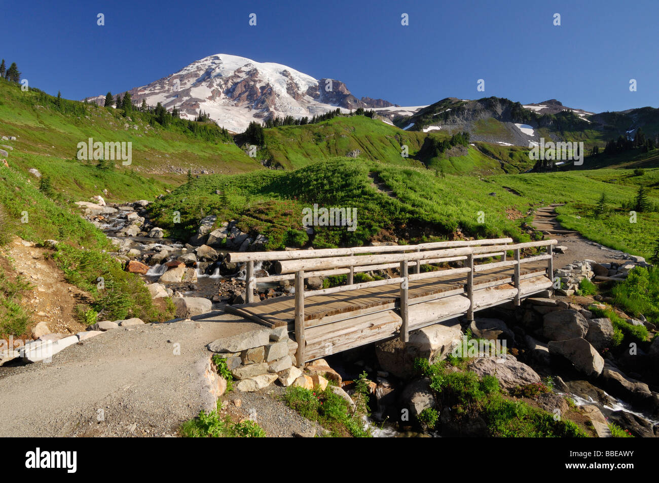 Mount Rainier, Mount Rainier Nationalpark, Pierce County, Kaskade-Strecke, Washington, USA Stockfoto