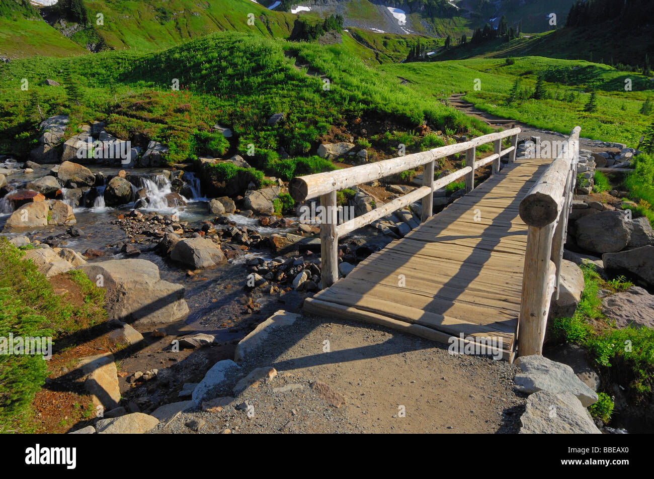 Fußgängerbrücke, Mount Rainier Nationalpark, Pierce County, Kaskade-Strecke, Washington, USA Stockfoto