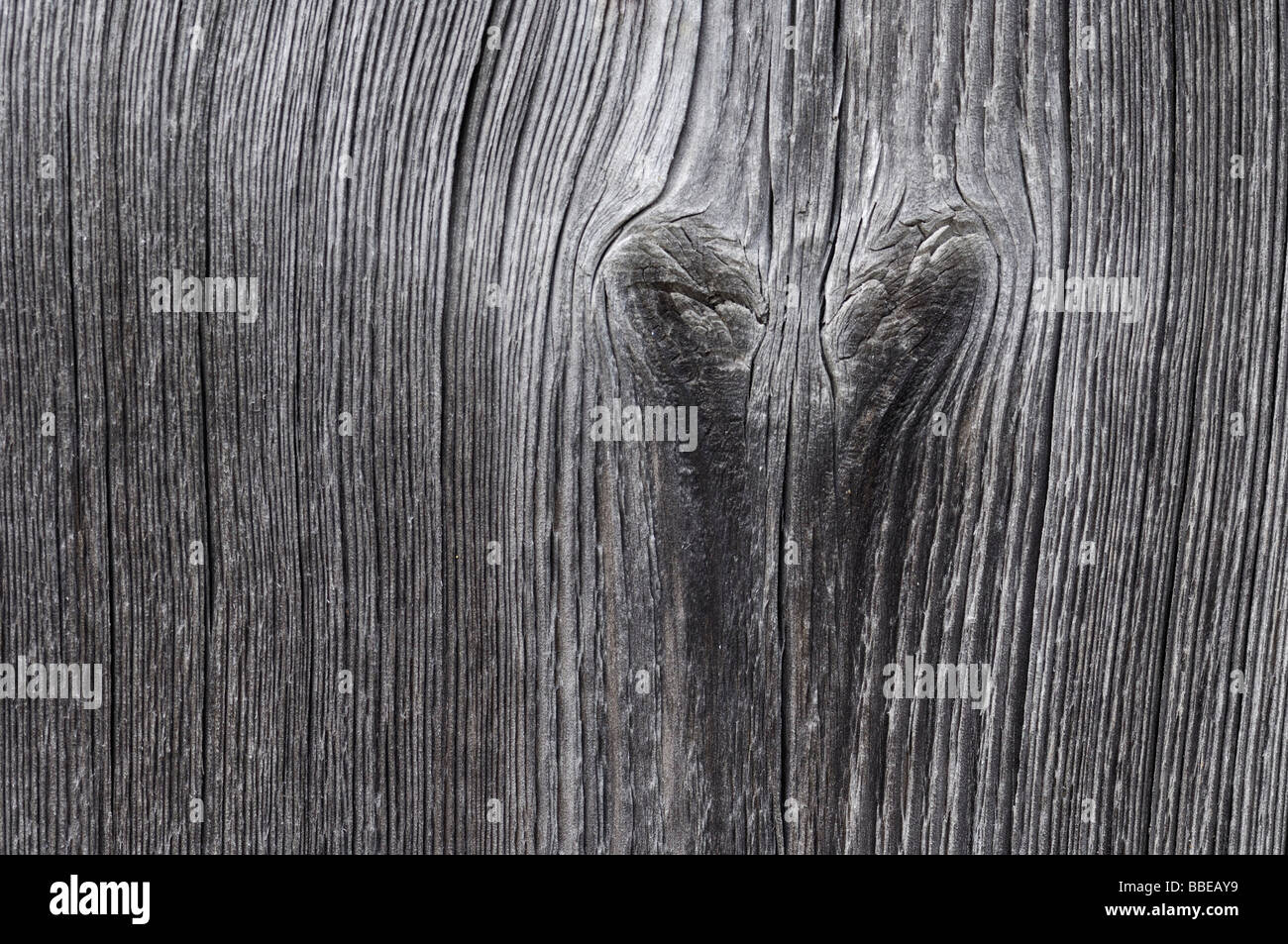 Knoten im Holz Stockfoto