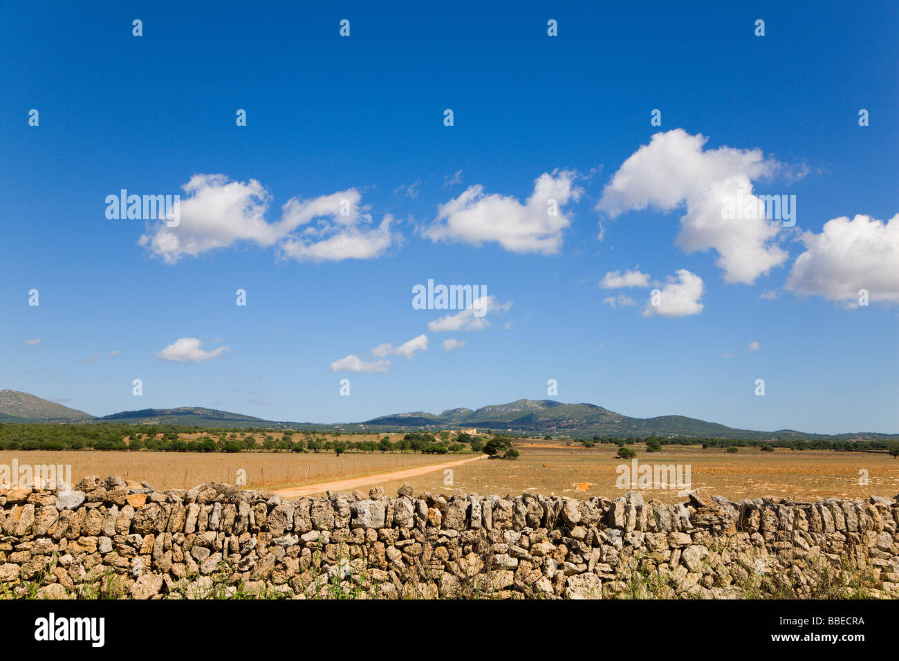 Ackerland, Mallorca, Spanien Stockfoto
