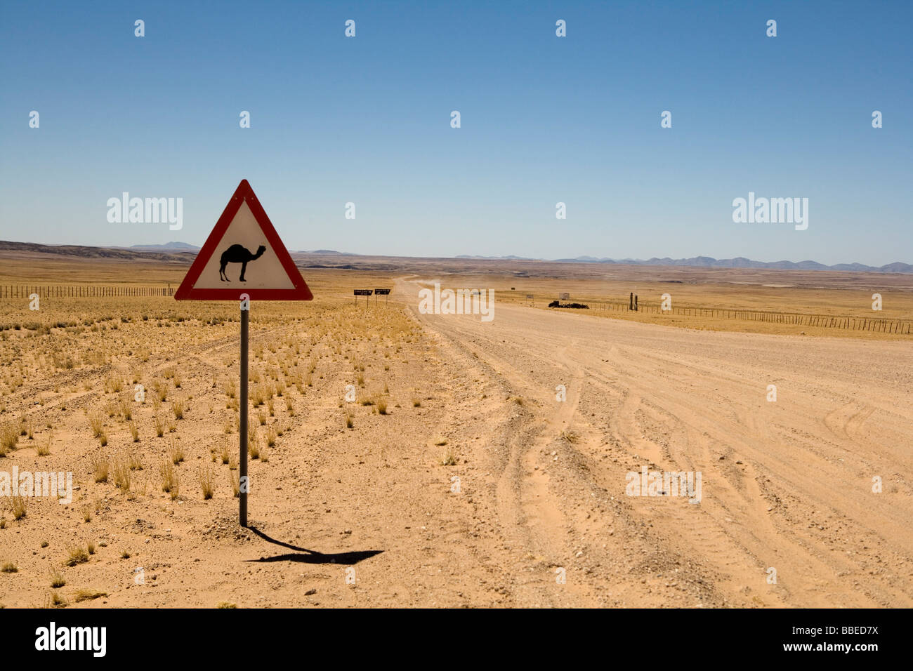 Kamel durchqueren Zeichen auf der Straße, Solitaire, Namibia Stockfoto
