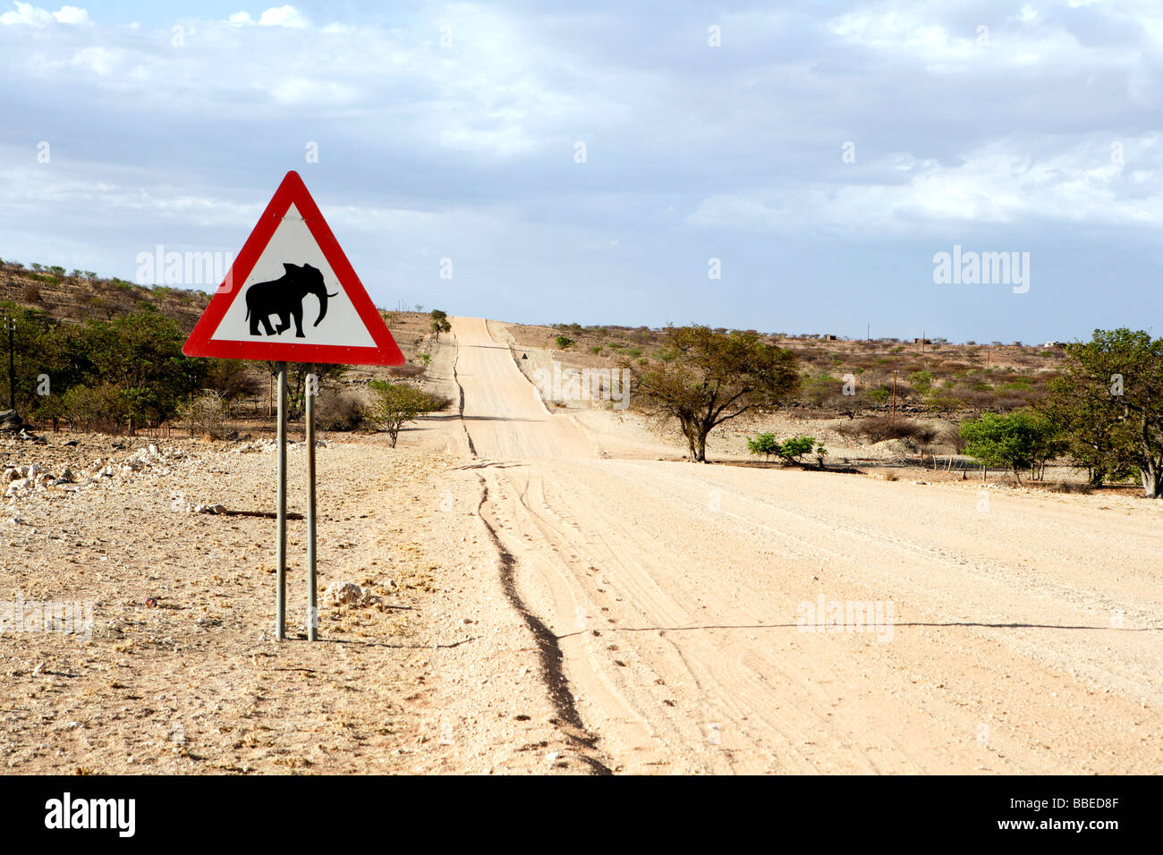 Elephant Crossing Schild auf der Straße, Damaraland, Namibia Stockfoto