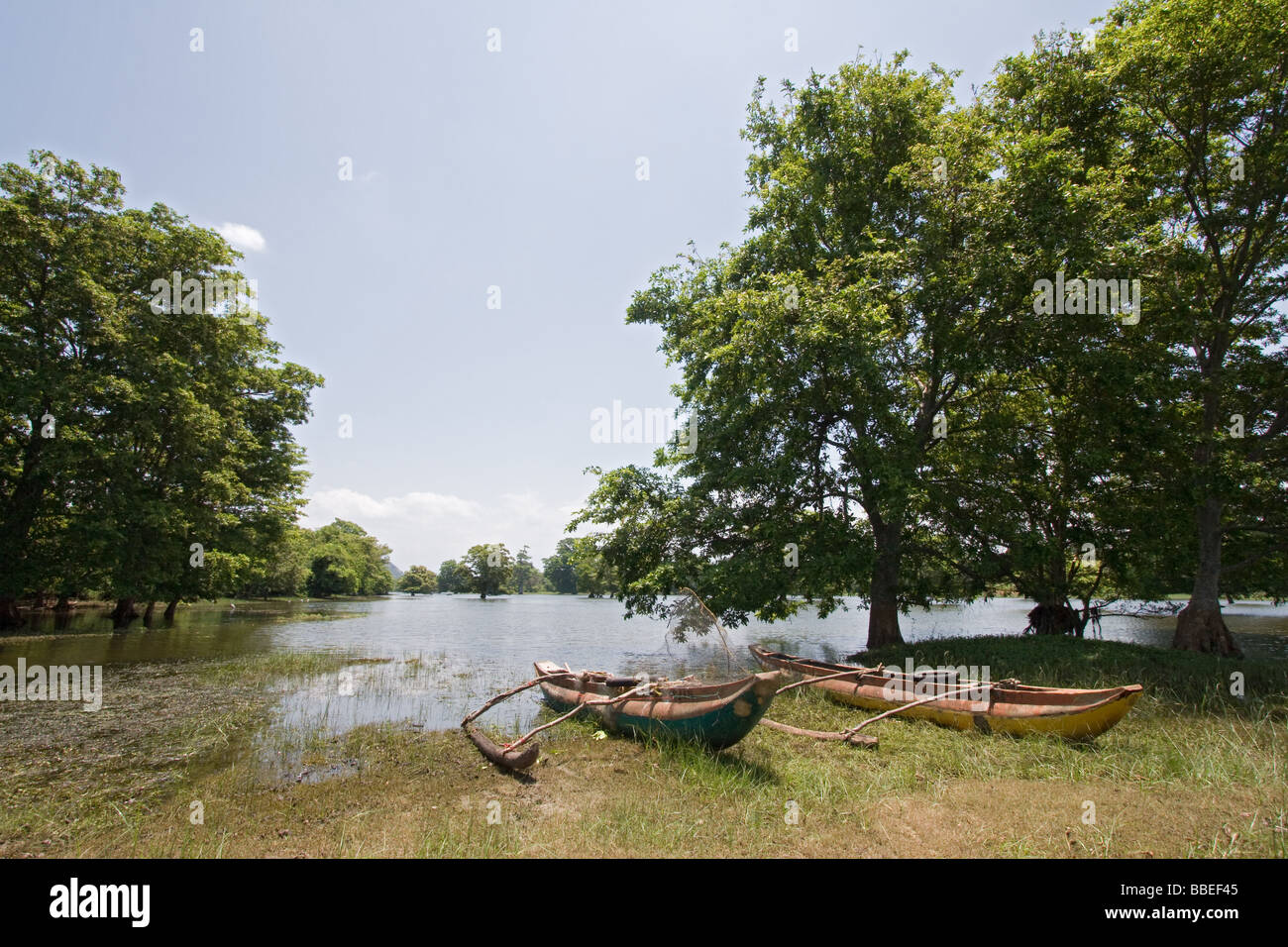 Ausleger-Kanu auf einem kleinen Bewässerung Panzer im Dorf von Hambegamuwa in der Nähe von Uda Walawe NP, Sri Lanka. Stockfoto