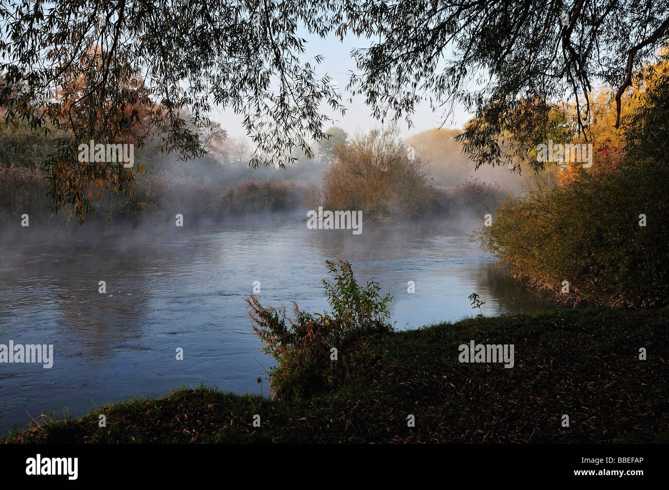 Morgennebel über Fluss, Amperauen, Fürstenfeldbruck, Bayern, Deutschland Stockfoto