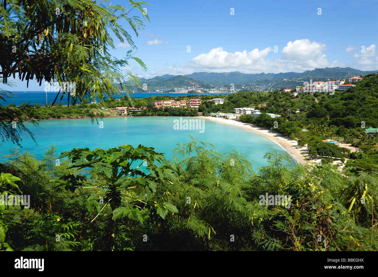 Antillen Karibik Grenadinen Grenada St George Aquamarine Meer und Baum gesäumten weißen Sandstrand von BBC Beach in Morne Rouge Bay Stockfoto