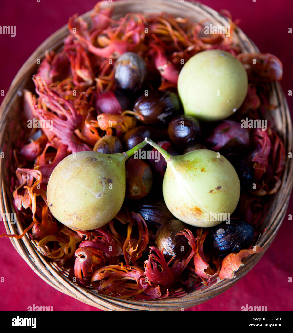 WEST INDIES Karibik Grenada Korb am Belmont Estate Plantage in St Patrick Pfarrei mit Muskat Frucht Muskatnüsse und Streitkolben Stockfoto