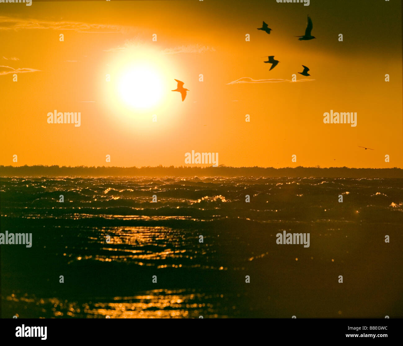 Sonnenuntergang über der Ostsee bei Kauguri Jurmala, Lettland Stockfoto