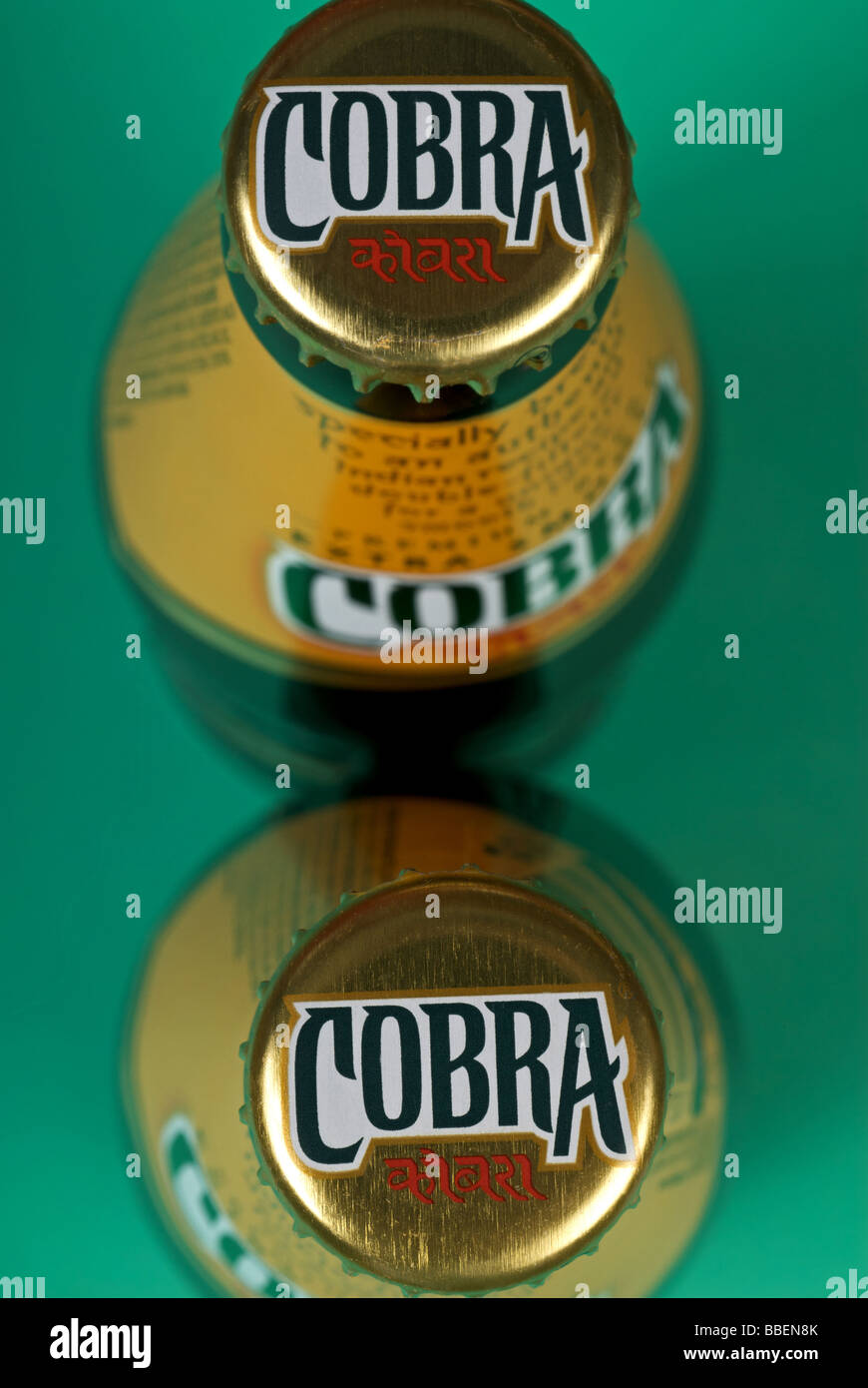 Cobra in Flaschen Bier Stockfoto