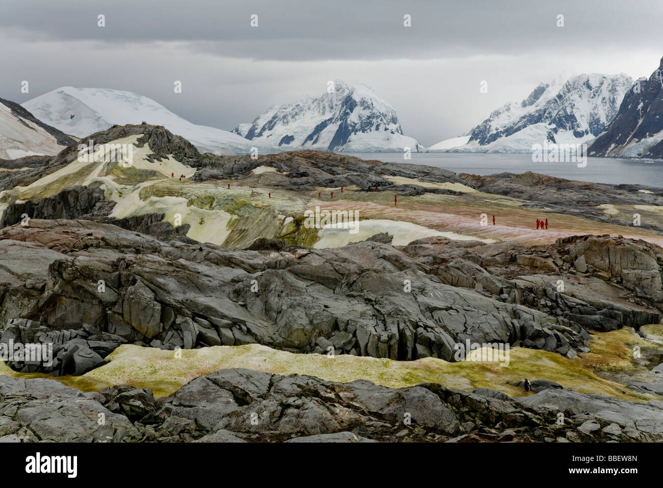 Reisende auf dem Grat Eis gefärbt durch Bakterienwachstum, Booth Island in die Ferne, Lemaire-Kanal, Petermann Island, Antarktis Stockfoto