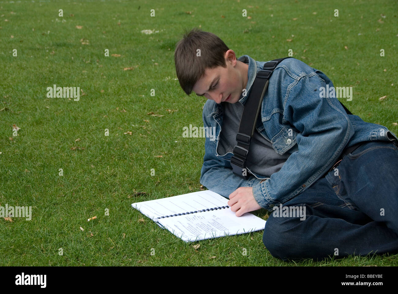 Teenager, die Überarbeitung für eine Abiturprüfung im park Stockfoto
