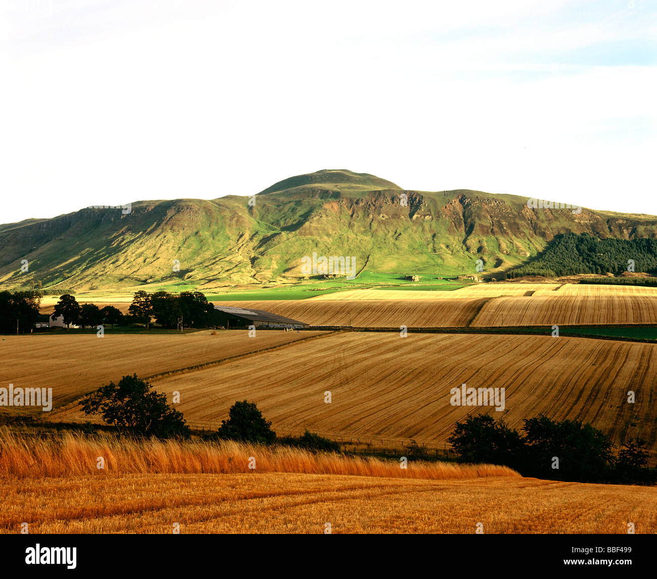 East Lomond Hill ein Iron Age Hill Fort, das in der Region als Falkland Hill bekannt ist. Nr Kinross, Perth und Kinross, Schottland. 1990er Jahre HOMER SYKES Stockfoto