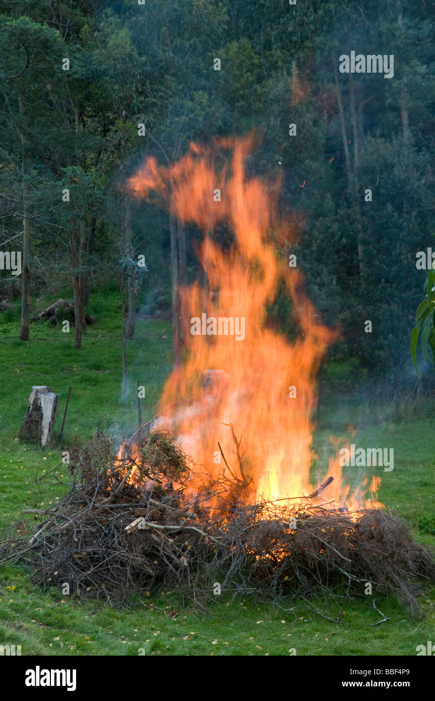 Das Lagerfeuer im Garten brennt ab Stockfoto