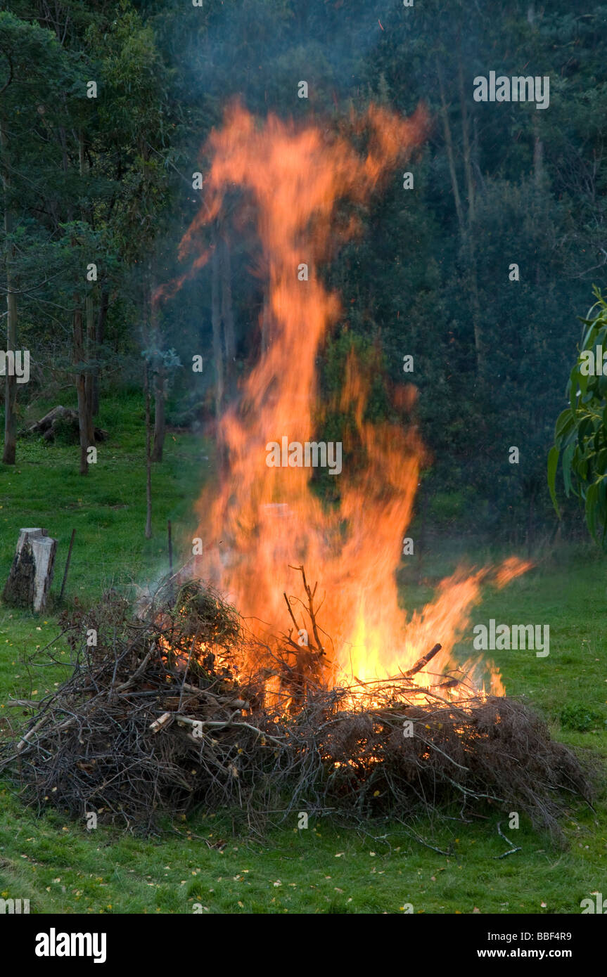 Garten Lagerfeuer Stockfoto