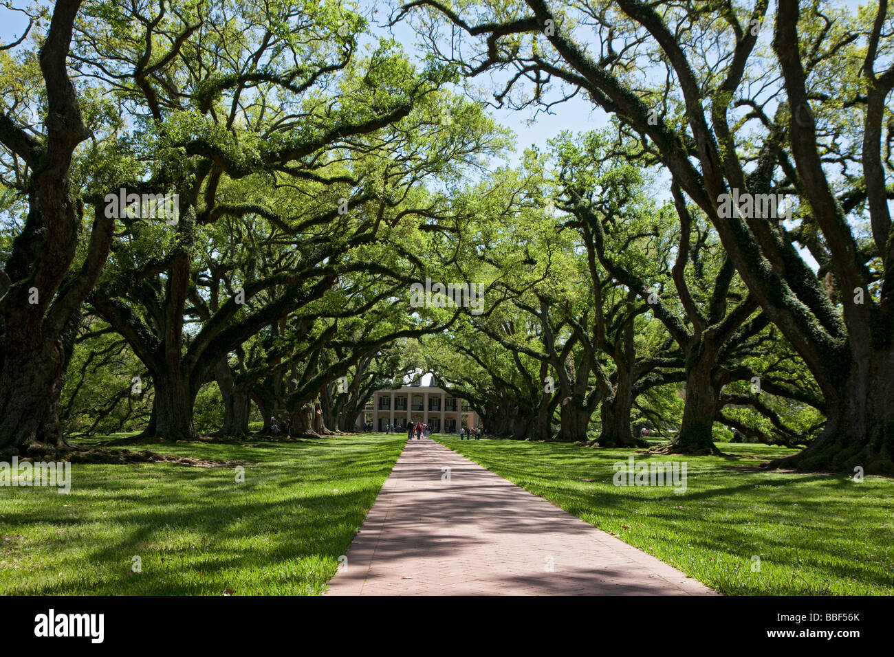 Oak Alley Plantation Stockfoto