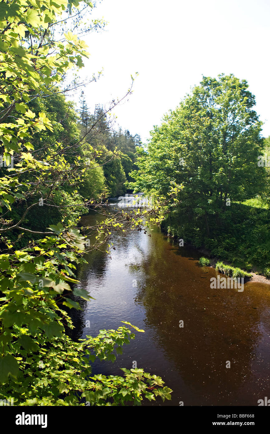 Flusses Roe Limavady Grafschaft Londonderry Nordirland Stockfoto