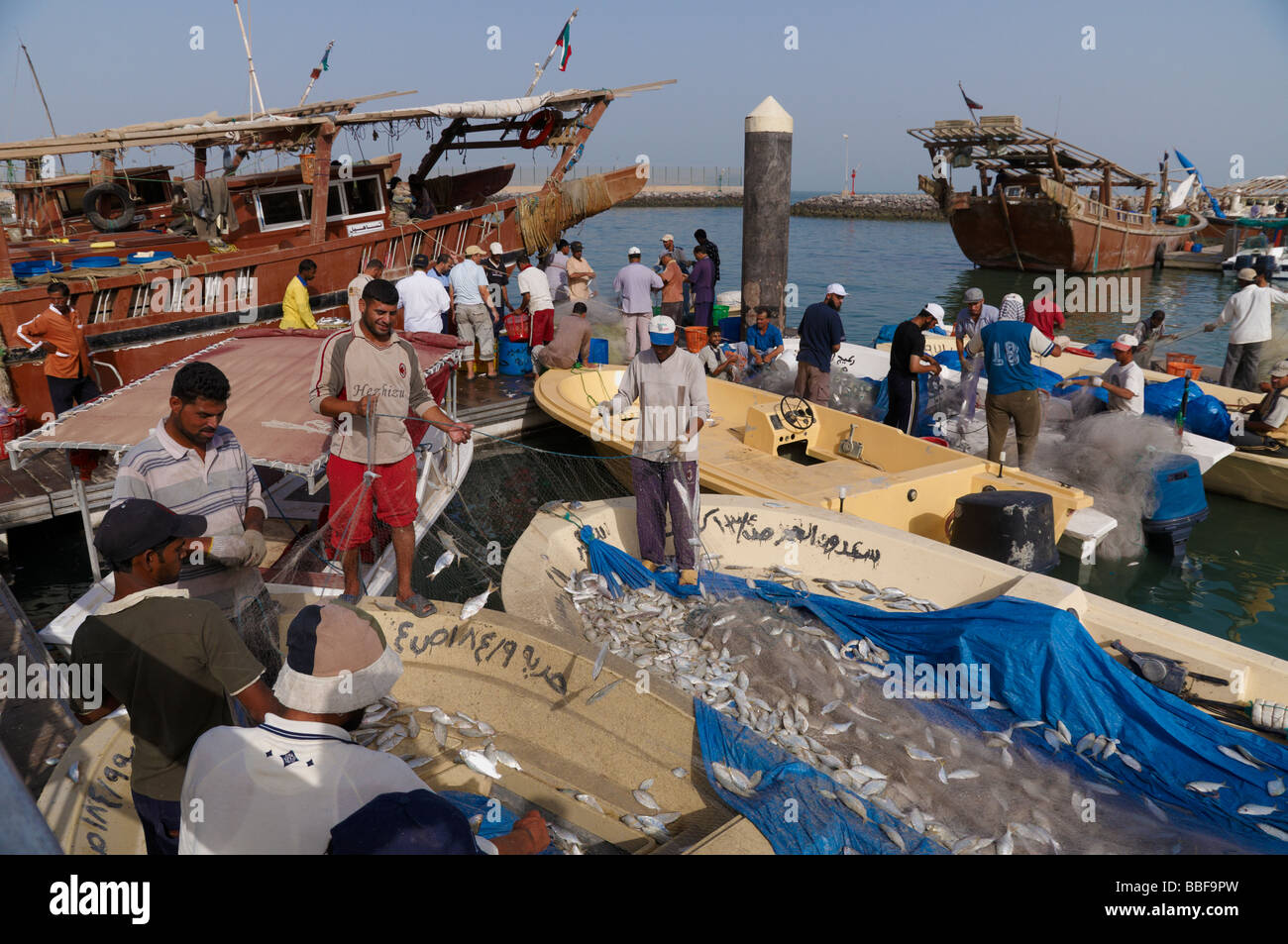 Die Fischer immer ihren Fang aus den Netzen auf den Booten im Hafen von Kuwait zu bleiben. Stockfoto