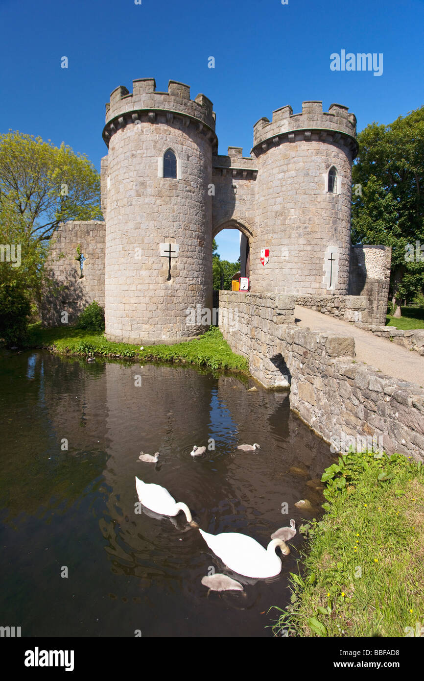 Whittington Burggraben mit Familie von Schwänen in der Nähe von Oswestry Shropshire England UK United Kingdom GB Großbritannien britische Inseln Stockfoto