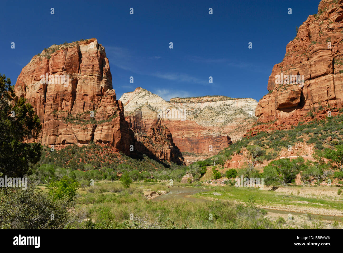 Rote Felsen im Zion Nationalpark, Utah, USA Stockfoto