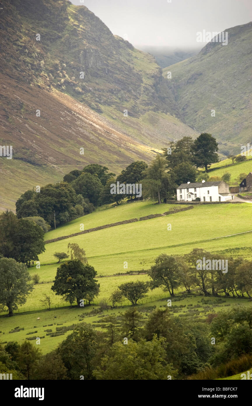 Newlands Valley, Lake District Blick Stockfoto