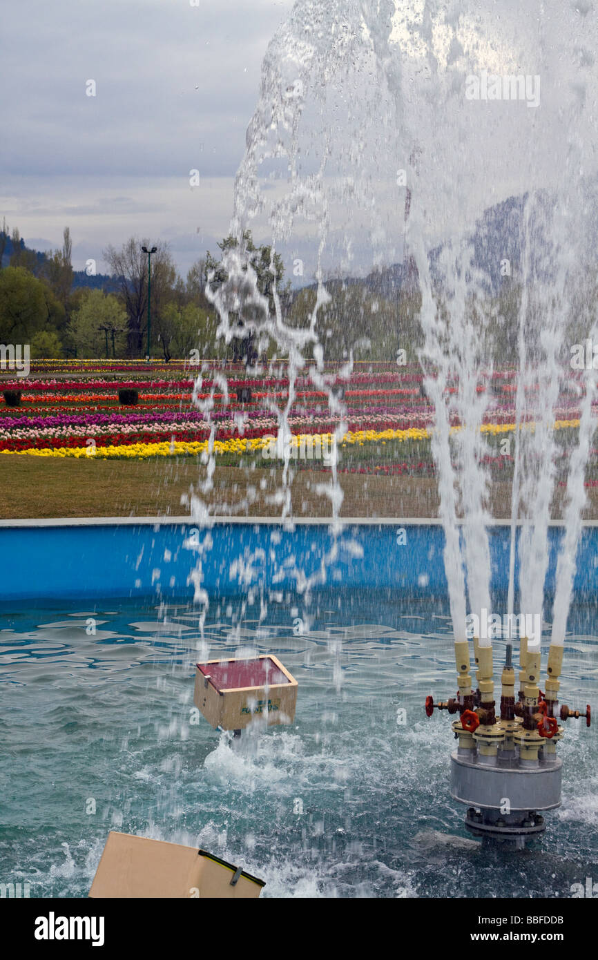 Brunnen in der Indira Gandhi Memorial Tulip Garden Cheshmashahi Srinagar Stockfoto