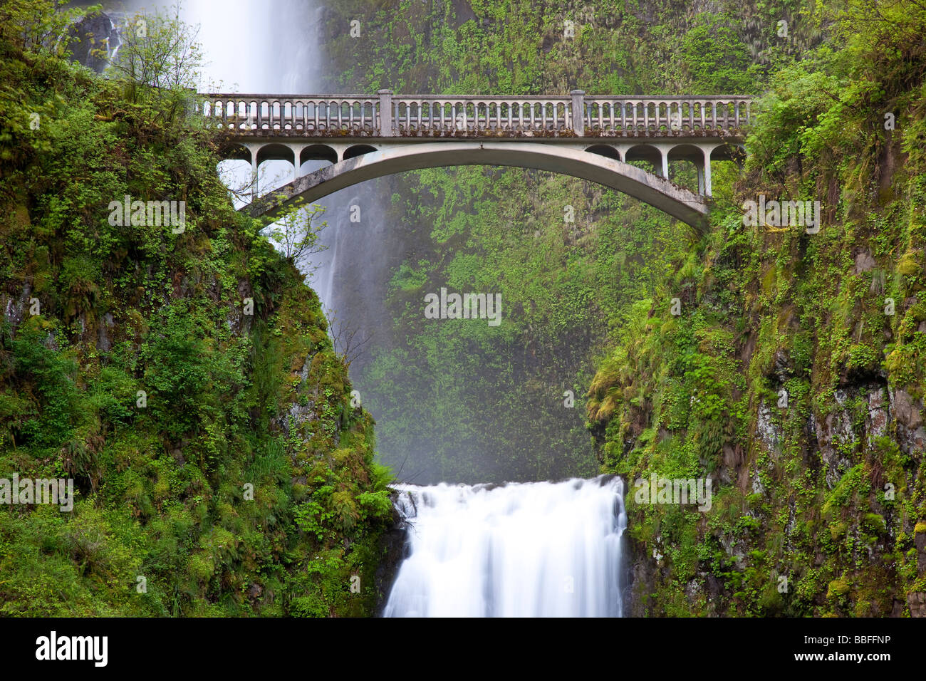 Multnomah Falls-Oregon-USA Stockfoto