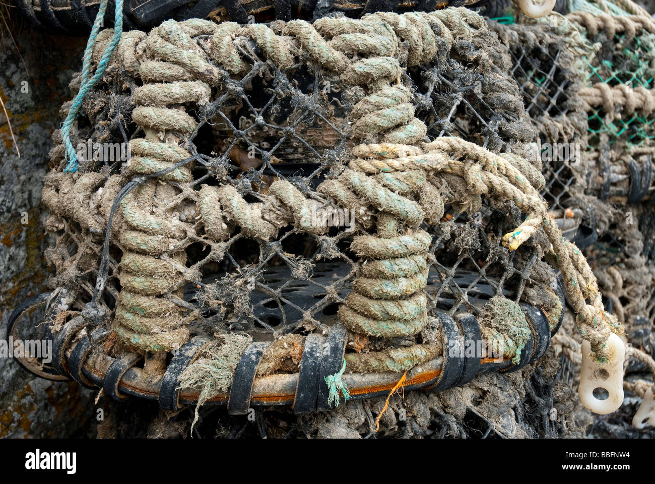 Krabben-Töpfe Stockfoto