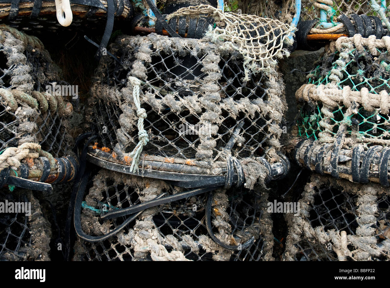 Krabben-Töpfe Stockfoto