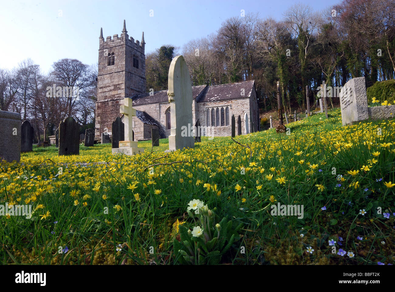 Frühlingsblumen machen eine schöne Kulisse für Str. Peters Kirche Lewtrenchard Okehampton West Devon England Stockfoto