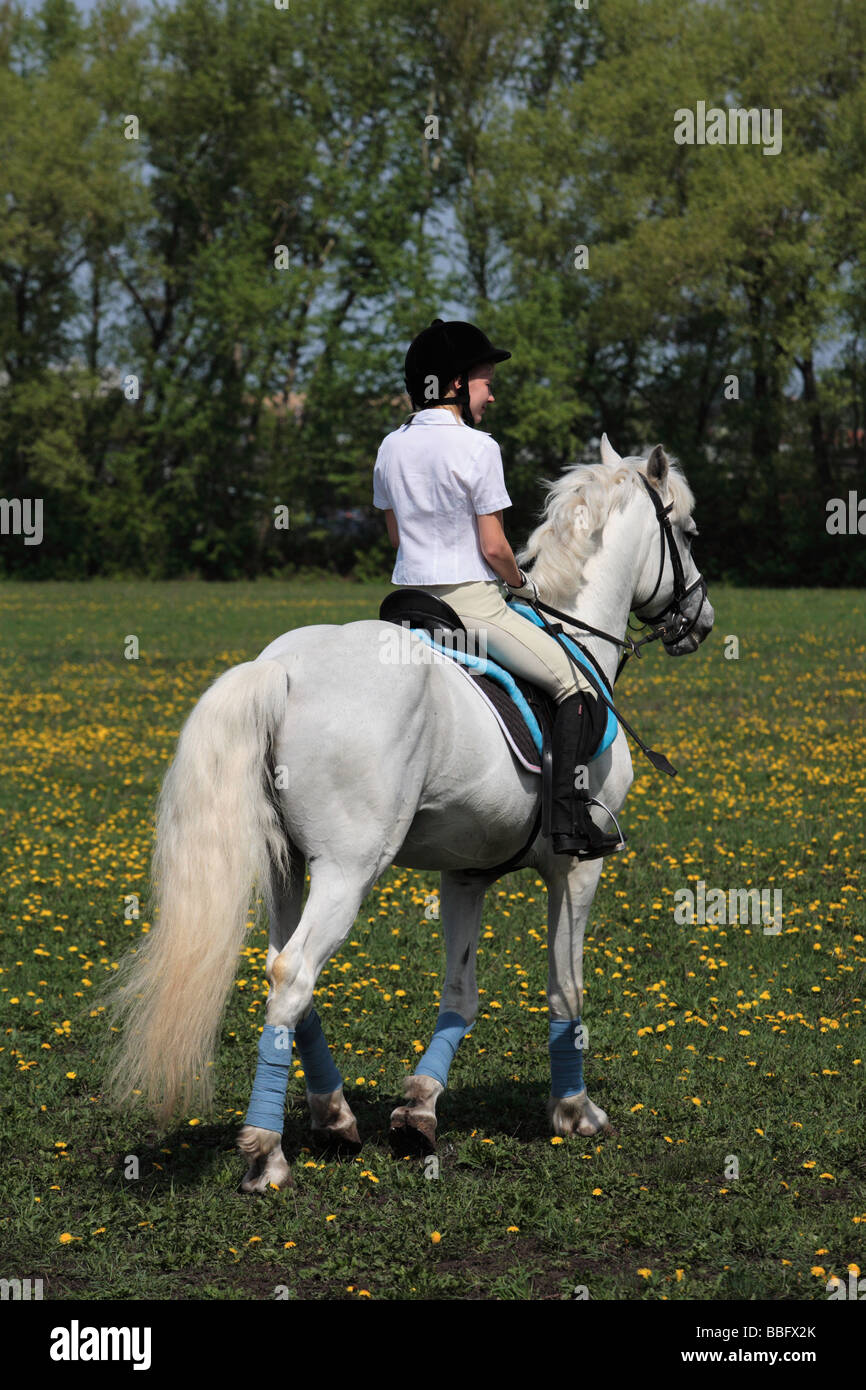 Teenager-Mädchen auf dem Pferd Stockfoto