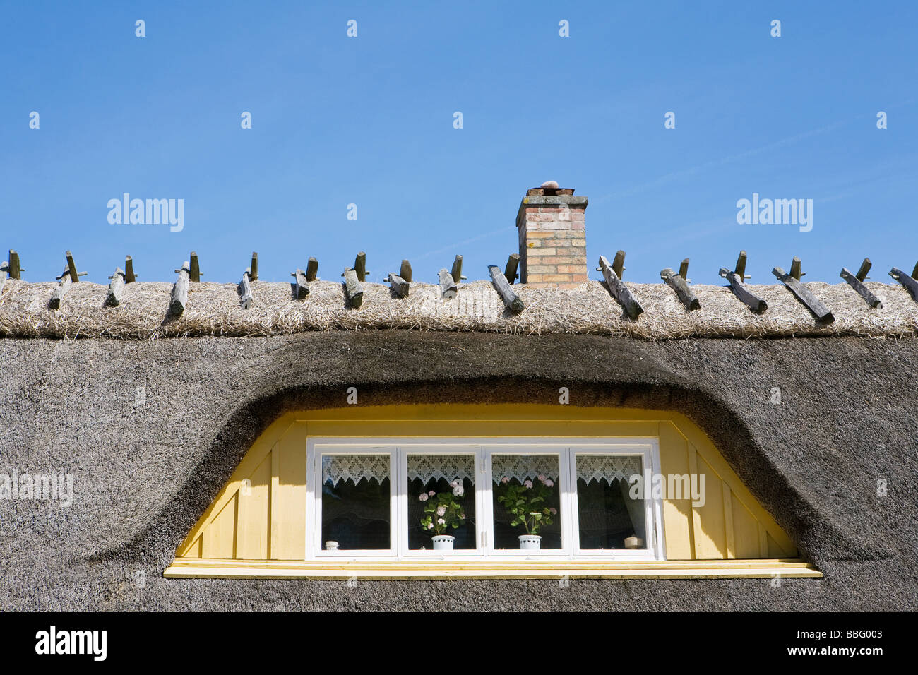 Thatched Dach eines Hauses Stockfoto