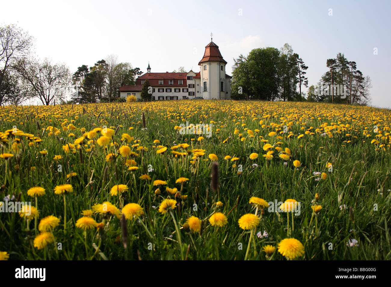 Gottesberg in der Nähe von Bad Wurzach, barocke Kirche des Heiligen Kreuzes, Salvatorianer Kloster, Wallfahrtskirche, Ravensburg Bezirk, U Stockfoto