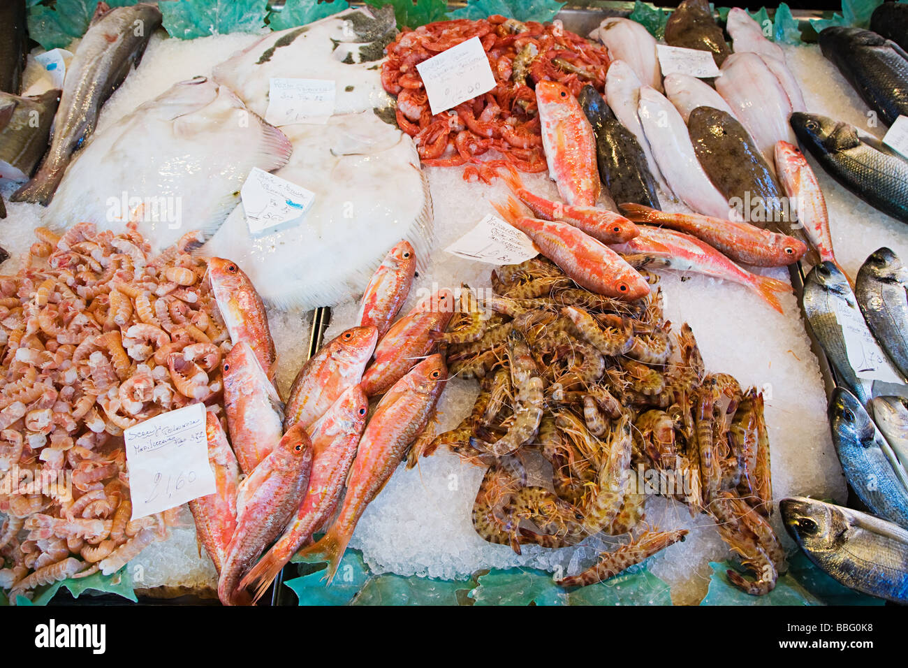 Fischmarkt Stockfoto